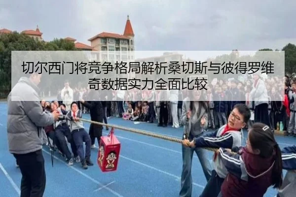 切尔西门将竞争格局解析桑切斯与彼得罗维奇数据实力全面比较（kaiyun）
